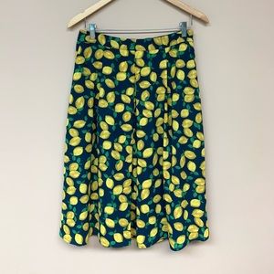 The Limited NWOT Skirt